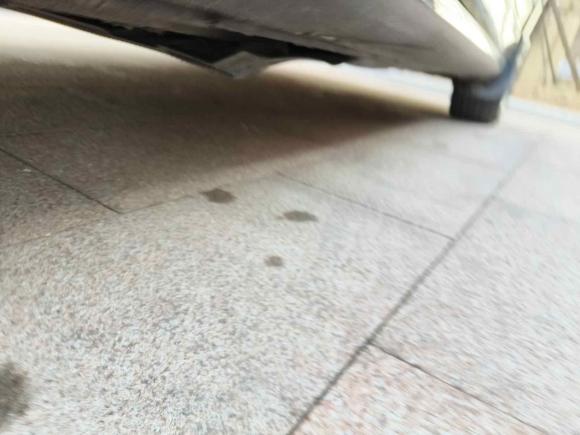 [青岛·鲁B] 二手斯柯达明锐2016款 1.6L 自动智行版