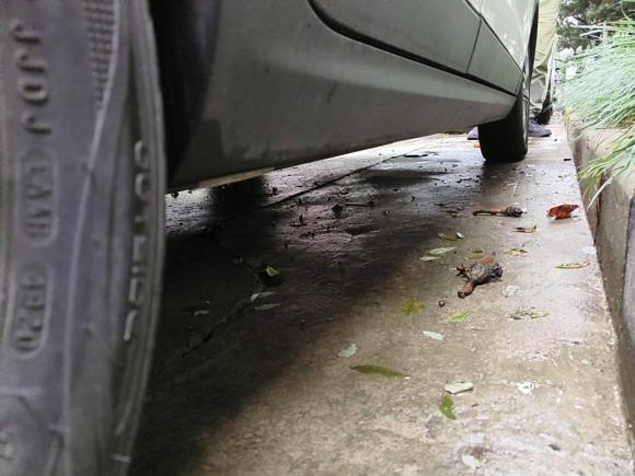 [上海·沪A] 二手零跑汽车零跑T032020款 400豪华版