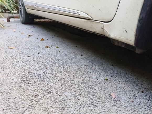 [上海·冀R] 二手丰田卡罗拉2018款 1.2T S-CVT GL-i智辉版