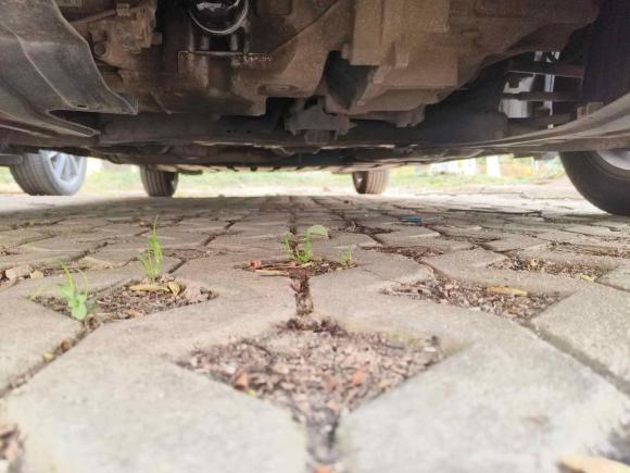 [南京·苏A] 二手本田锋范经典2012款 1.5L 手动精英版