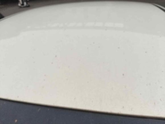 [温州·浙C] 二手吉利汽车帝豪GL2020款 1.4T CVT亚运型