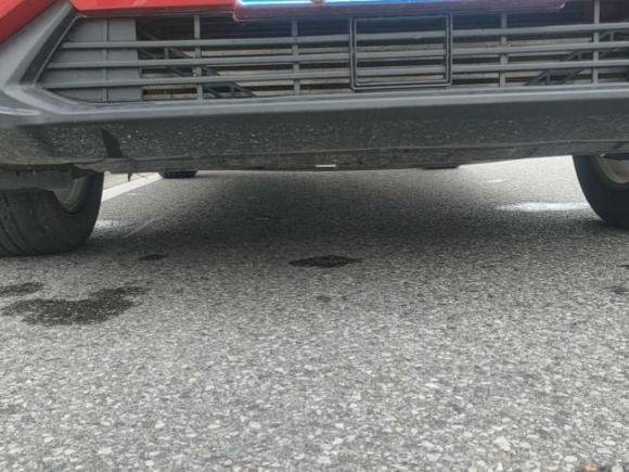 [芜湖·苏U] 二手海马海马8S2019款 1.6TGDI 自动潮版