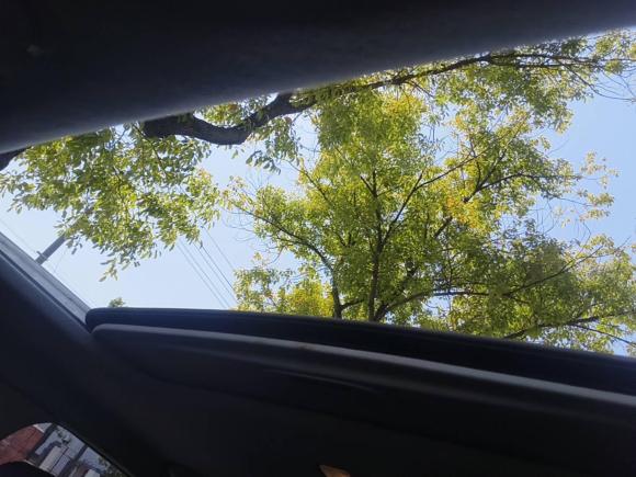 [杭州·皖A] 二手现代伊兰特2021款 1.5L CVT GLX精英版