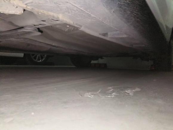 [杭州·浙B] 二手福特福克斯2012款 两厢 1.6L 手动风尚型