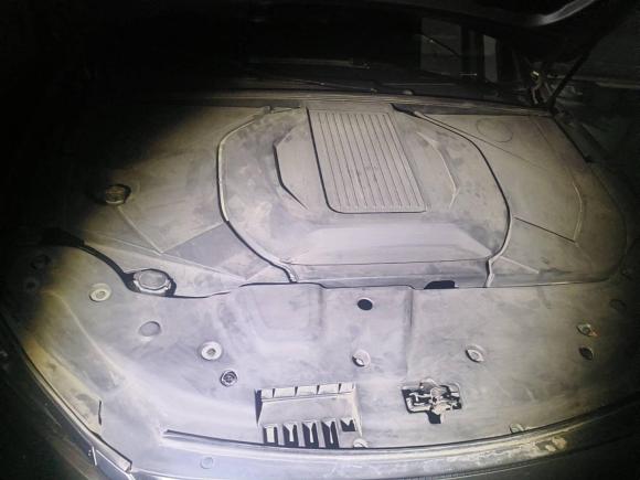 [杭州·浙A] 二手比亚迪秦PLUS2021款 EV 500KM 豪华型