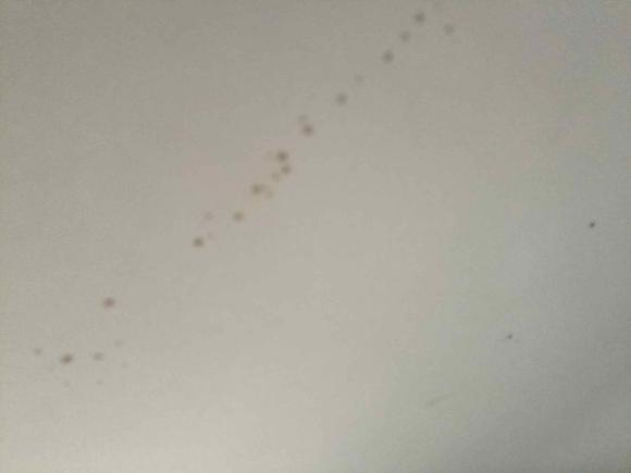 [合肥·皖A] 二手大众凌渡2015款 230TSI 手动风尚版