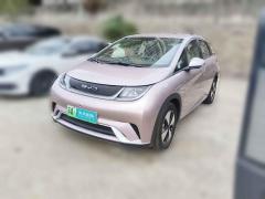 [南京·苏A] 比亚迪海豚2023款 420km 自由版