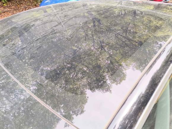 [上海·沪A] 二手特斯拉Model 32020款 改款 标准续航后驱升级版