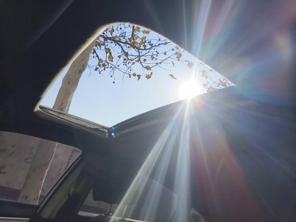 [济南·鲁A] 二手本田思域2019款 220TURBO CVT劲动版 国VI