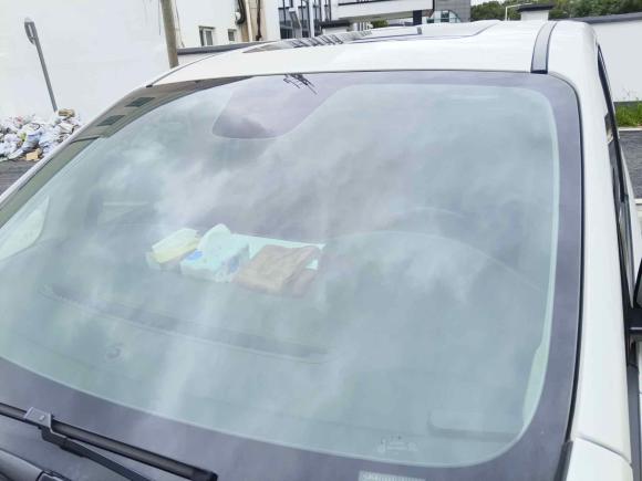 [上海·沪C] 二手广汽传祺传祺M82020款 大师版 390T 至尊版