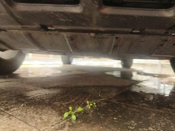 [杭州·沪C] 二手宝沃宝沃BX52017款 20TGDI 自动两驱先锋型