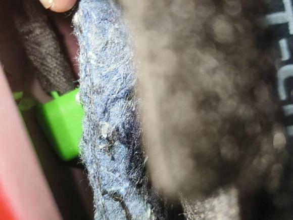 [广州·粤C] 二手大众途铠2021款 280TSI DSG豪华版