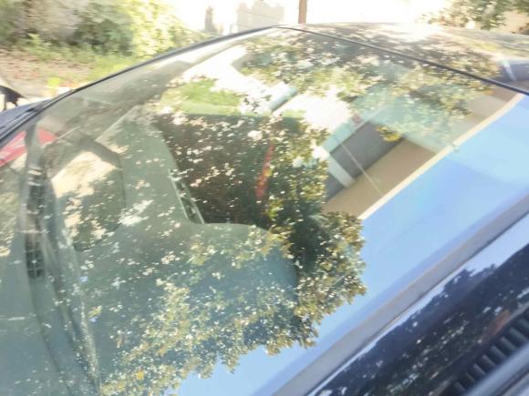 [宁波·浙B] 二手大众迈腾2013款 2.0TSI 豪华型