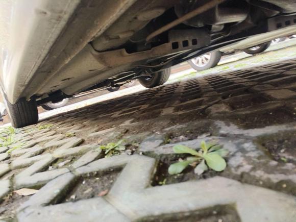 [上海·沪D] 二手大众Polo2013款 1.4L 手动风尚版