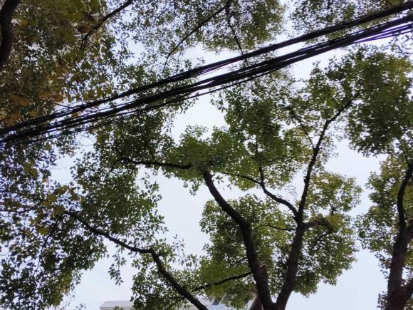 [上海·皖S] 二手凯迪拉克凯迪拉克ATS-L2017款 28T 技术型