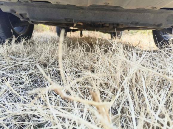 [苏州·苏C] 二手哈弗哈弗H6 Coupe2020款 智联版 1.5T 自动两驱精英型