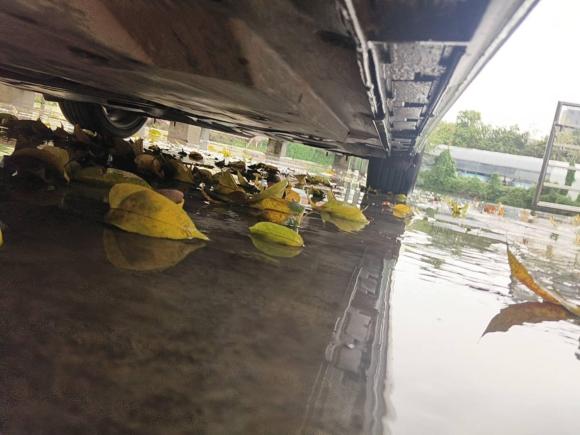 [佛山·粤E] 二手马自达马自达3 昂克赛拉2016款 三厢 2.0L 自动运动型