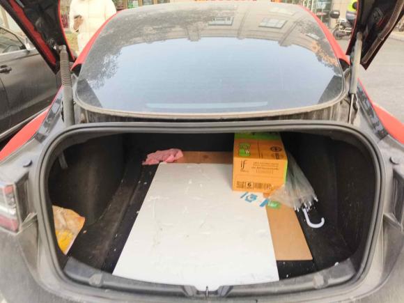 [上海·沪A] 二手特斯拉Model 32021款 标准续航后驱升级版 3D6