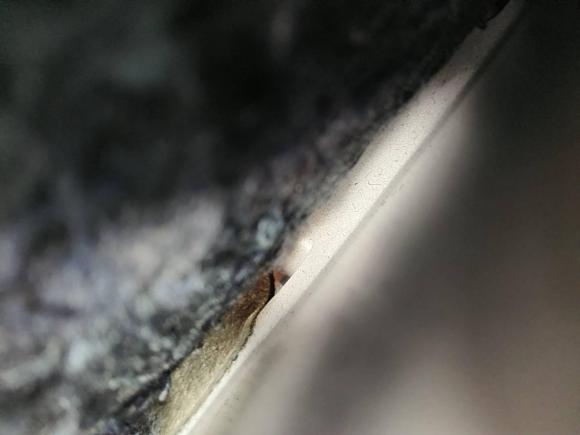 [成都·川A] 二手丰田卡罗拉2022款 TNGA 1.5L CVT先锋版