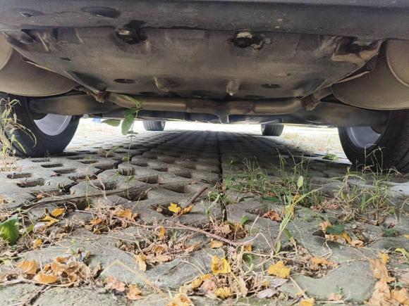 [武汉·鄂A] 二手丰田亚洲龙2019款 2.0L XLE尊享版 国VI