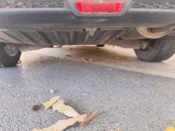 [南昌·赣A] 二手本田思域2014款 1.8L 自动豪华版