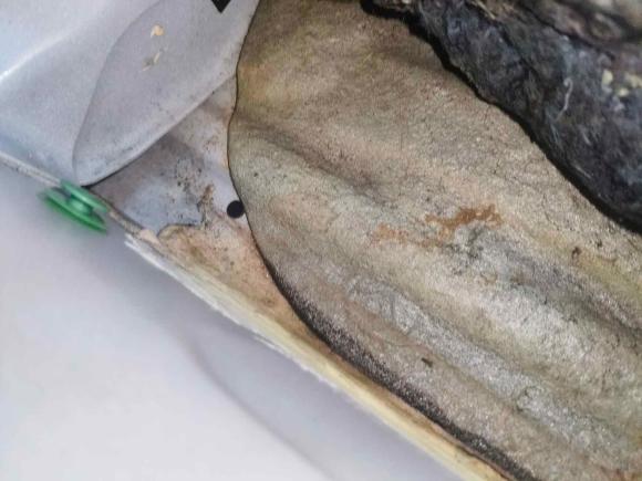 [武汉·鄂A] 二手本田思域2014款 1.8L 自动舒适版