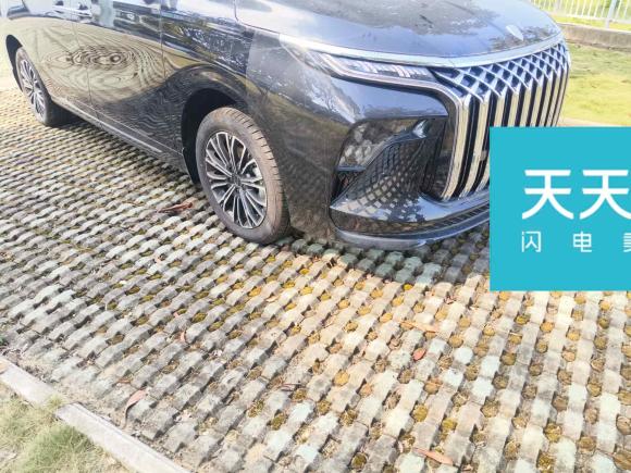 [苏州·苏E] 二手东风风行星海V92024款 1.5TD 200km 中国结系列 尊享型