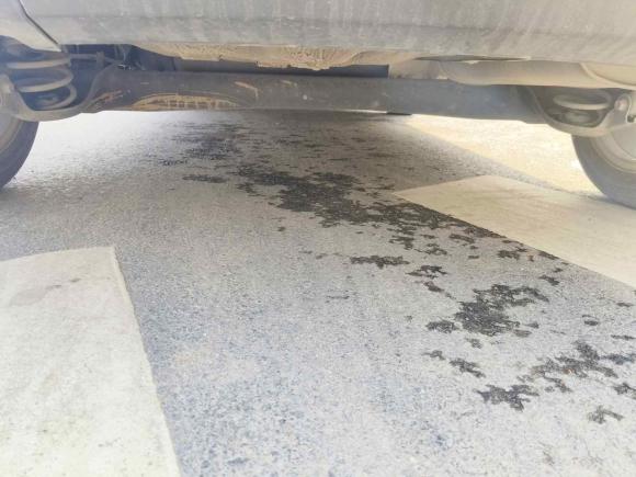 [西安·陕A] 二手福特嘉年华2013款 两厢 1.5L 自动时尚型