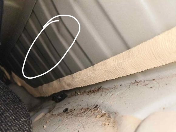 [深圳·粤B] 二手比亚迪海豚2024款 荣耀版 420km 自由版