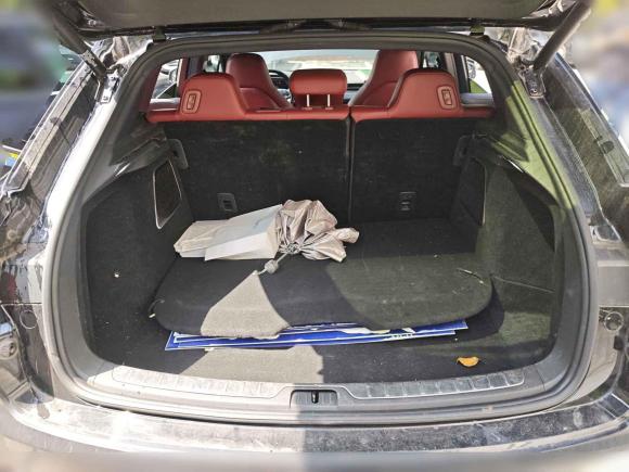 [上海·沪A] 二手SERES赛力斯赛力斯SF52021款 四驱自由远征版