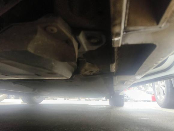 [深圳·粤G] 二手本田雅阁2018款 260TURBO 精英版 国VI