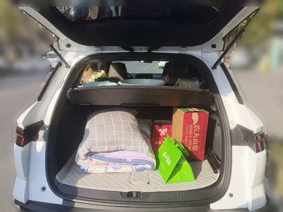 [合肥·皖A] 二手比亚迪宋Pro新能源2023款 冠军版 DM-i 71KM领先型