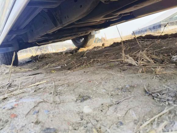 [上海·鄂C] 二手日产途达2020款 2.5L XL Upper 自动两驱豪华版