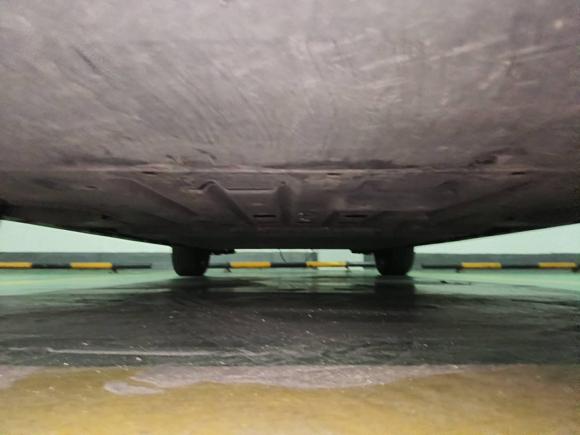 [佛山·粤E] 二手比亚迪海豚2021款 405km 自由版