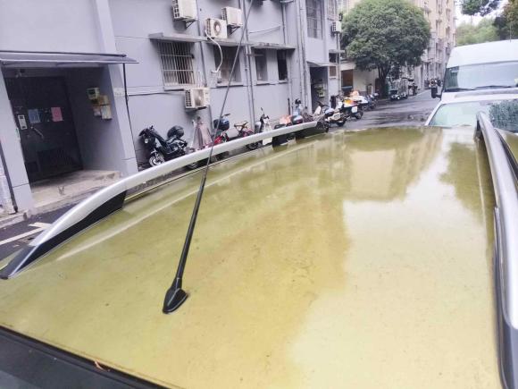 [杭州·浙A] 二手日产骊威2013款 劲锐 1.6XL CVT舒适版