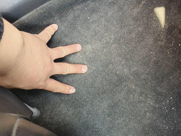 [嘉兴·浙F] 二手日产轩逸2014款 1.6XV CVT尊享版