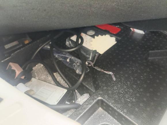 [嘉兴·浙F] 二手欧拉欧拉好猫2021款 400km标准续航 维纳斯版 磷酸铁锂