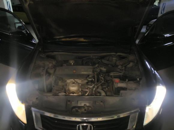 [宁波·浙B] 二手本田雅阁2010款 2.0L EX