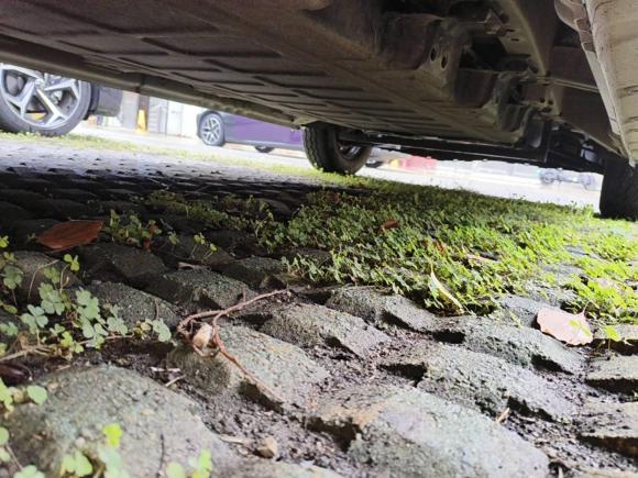 [苏州·苏E] 二手五菱汽车五菱扬光2024款 300km 舒适型客车版 75kW