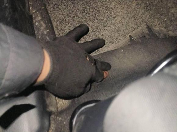 [嘉兴·浙F] 二手本田飞度2014款 1.5L SE CVT时尚型