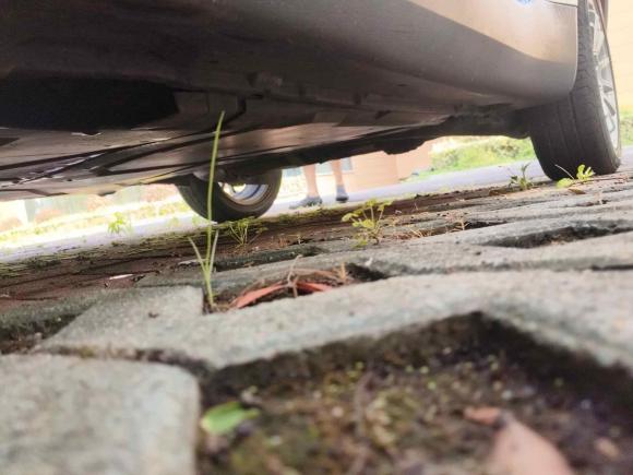 [嘉兴·浙F] 二手smartsmart fortwo2011款 1.0 MHD 硬顶标准版