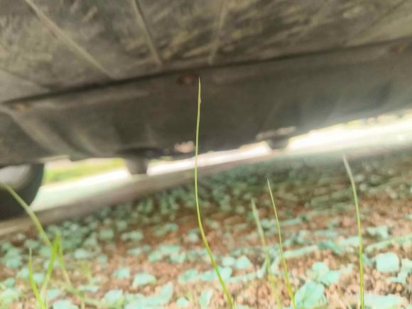 [青岛·鲁B] 二手别克威朗2015款 三厢 15S 自动领先型