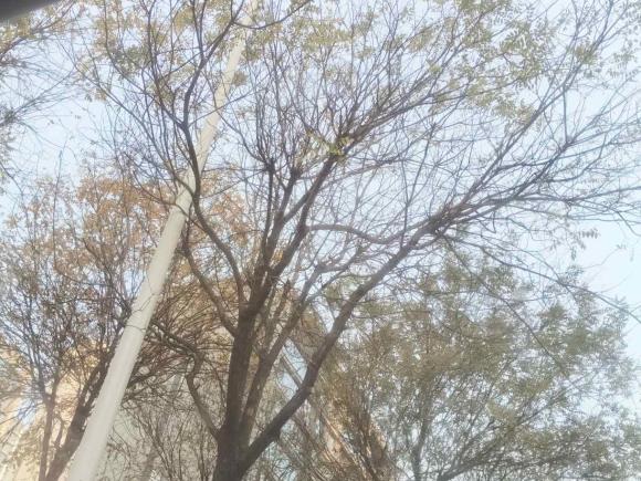 [西安·陕A] 二手别克微蓝62020款 插电混动 互联智享型