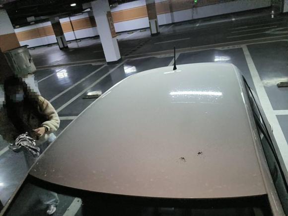 [嘉兴·浙F] 二手大众Polo2013款 1.6L 自动舒适版