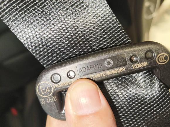 [合肥·皖A] 二手smartsmart精灵#52024款 长续航奇旅 豪华版