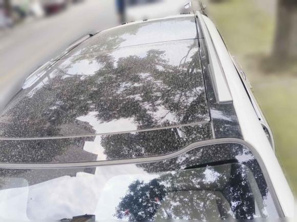 [成都·新A] 二手起亚智跑2011款 2.4L 自动四驱版GLS