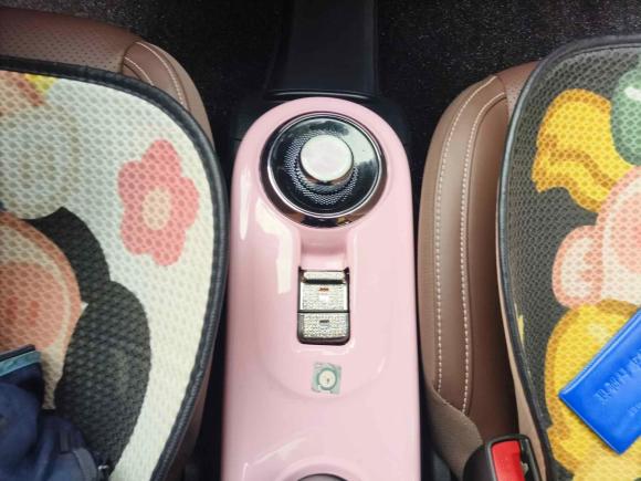 [上海·沪B] 二手五菱汽车五菱缤果2023款 333km 悦享款