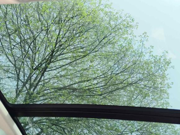 [成都·川A] 二手大众迈腾2018款 280TSI DSG 越享型