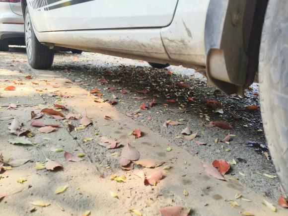 [苏州·陕C] 二手丰田威驰2021款 1.5L 手动创行版