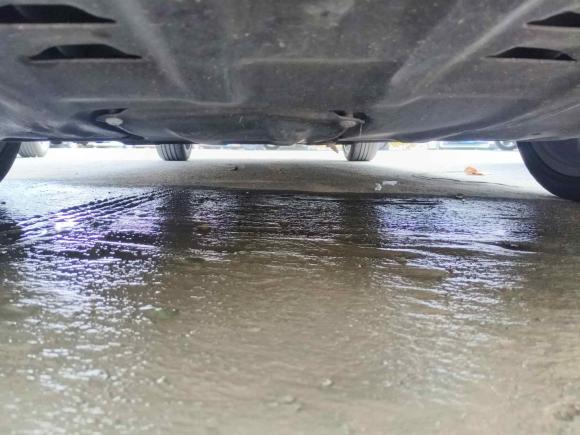 [西安·陕U] 二手红旗红旗H52022款 经典款 改款 1.5T DCT旗韵版